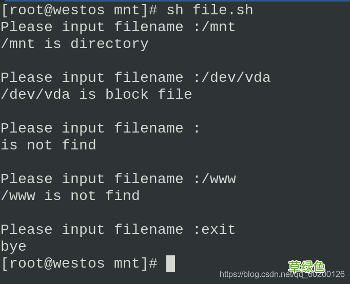 linux脚本基础详细介绍