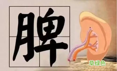 脾虚的表现和症状有哪些 脾虚的表现和症状