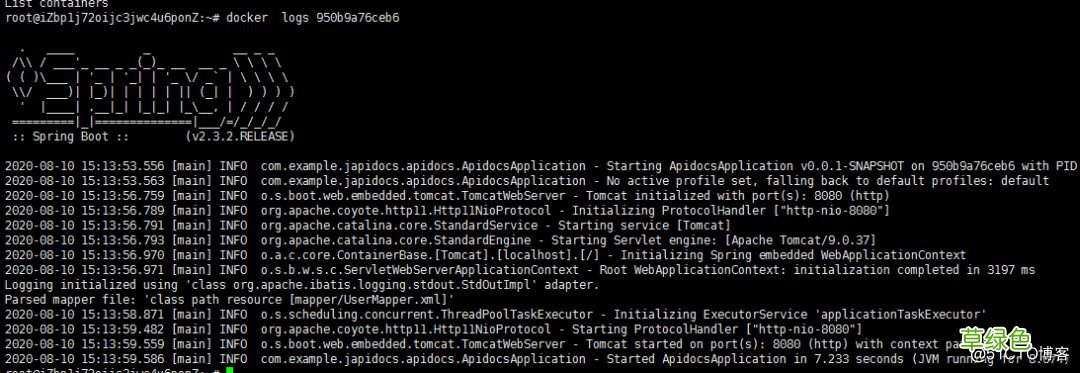 Spring Boot 打包上传Docker 仓库的详细步骤