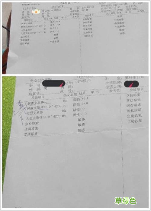 支原体是什么引起感染的 什么是支原体感染
