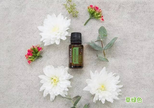 玫瑰精油的功效与作用及使用方法 玫瑰精油使用方法