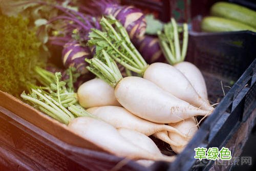 白萝卜不能与什么一起吃 白萝卜不能和什么一起吃同吃