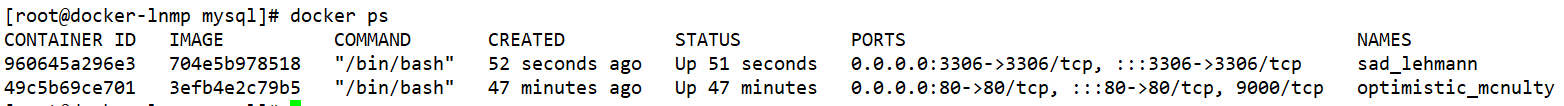 docker部署lnmp-wordpress的实现步骤