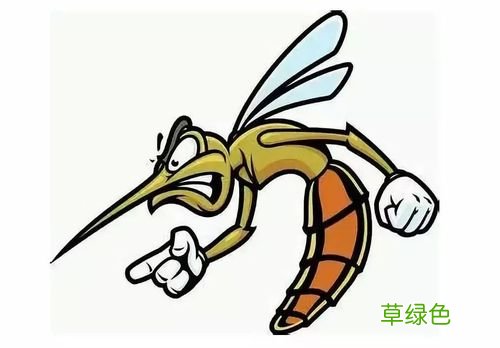 什么血型最招蚊子咬原来一点关系都没有 什么血型最招蚊子