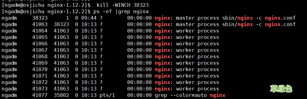 图文详解Nginx版本平滑升级方案
