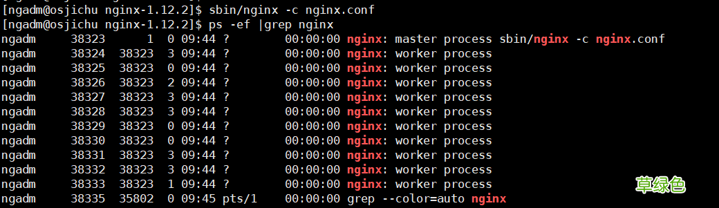 图文详解Nginx版本平滑升级方案