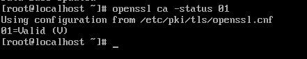 Linux之Centos8创建CA证书教程