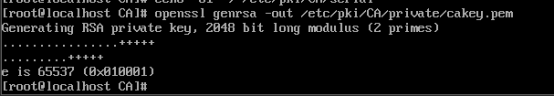 Linux之Centos8创建CA证书教程