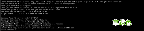 Linux之Centos8创建CA证书教程