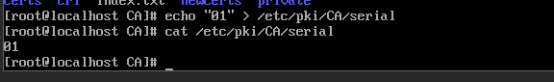 Linux之Centos8创建CA证书教程