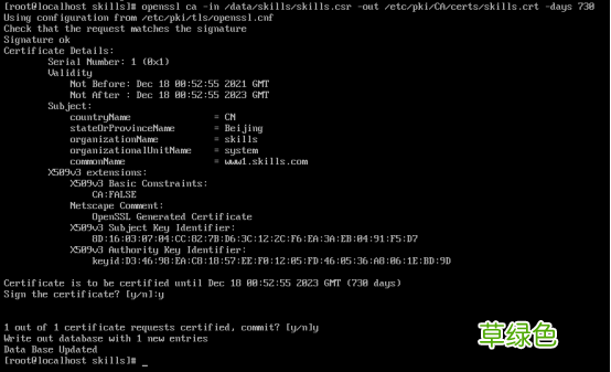 Linux之Centos8创建CA证书教程