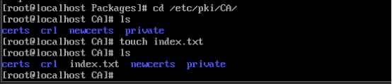 Linux之Centos8创建CA证书教程