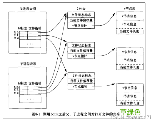 Linux之操作文件的系统调用