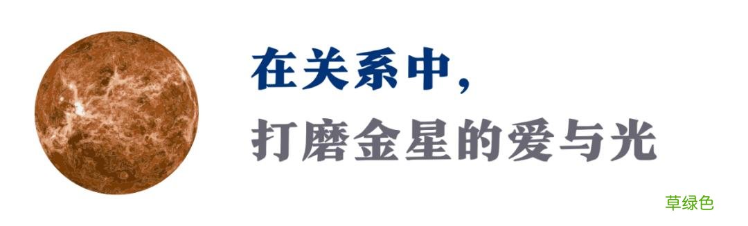 这才是金星的真相：你永远可以活成自己喜欢的样子12星座金星指南 星座金星怎么算