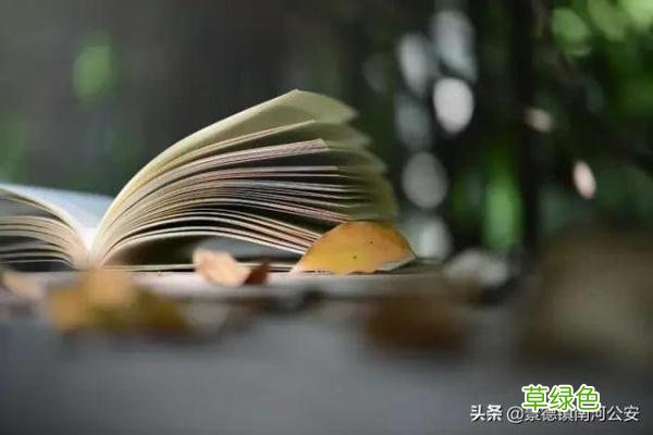 孑孓、仄 亾、片 爿：这些汉字天生一对，你认识多少？ 昶读什么