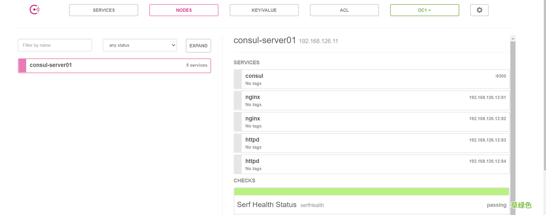 图文详解 Docker Consul概述以及集群环境搭建步骤