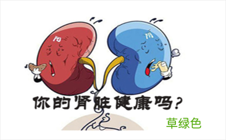 肾炎的症状是什么女性 肾炎的症状是什么
