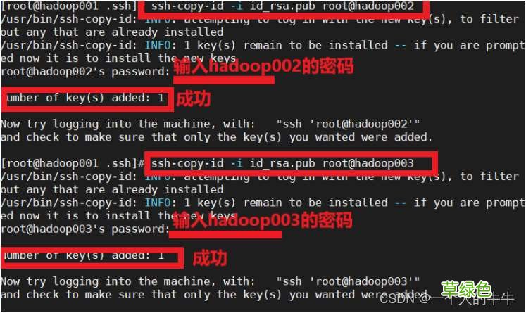 Linux配置免密登录单机和全分布详细教程