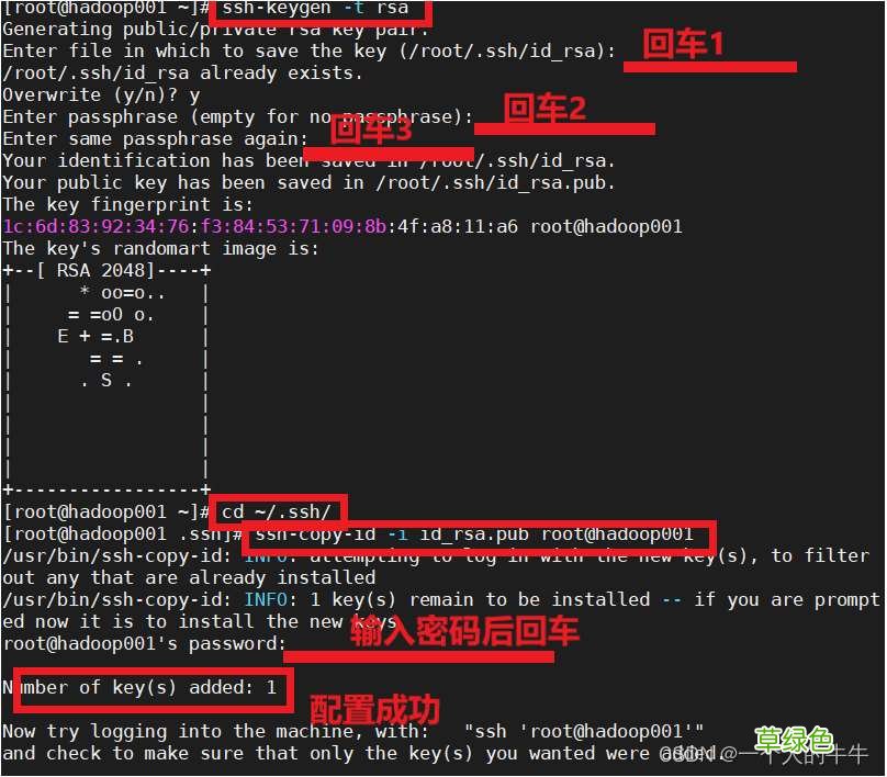 Linux配置免密登录单机和全分布详细教程