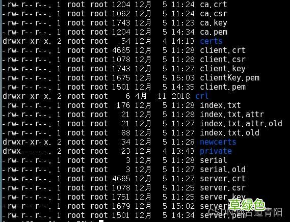 Linux环境下生成openssl证书注意细节介绍