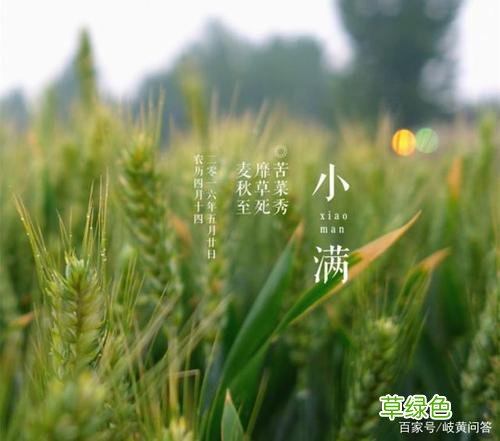 芒种是什么意思呢在抖音上 芒种是什么意思