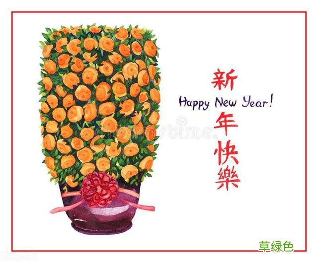 20种家庭观果植物，色彩艳丽、形态奇特、着果丰富，您见过几种？ 果子的名字