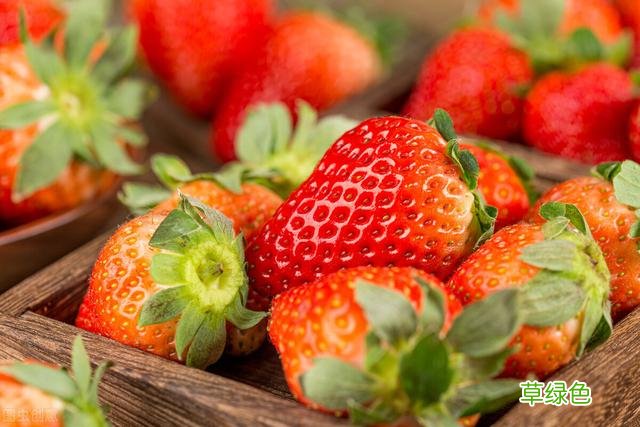 20种家庭观果植物，色彩艳丽、形态奇特、着果丰富，您见过几种？ 果子的名字