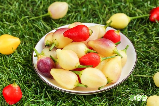 20种家庭观果植物，色彩艳丽、形态奇特、着果丰富，您见过几种？ 果子的名字