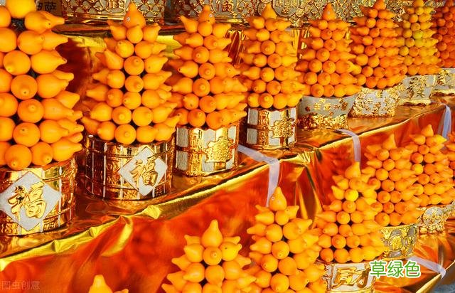 20种家庭观果植物，色彩艳丽、形态奇特、着果丰富，您见过几种？ 果子的名字
