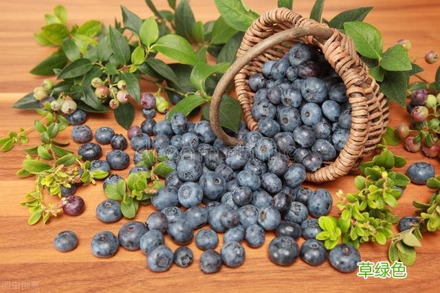 20种家庭观果植物，色彩艳丽、形态奇特、着果丰富，您见过几种？ 果子的名字