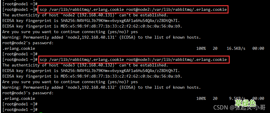 Linux RabbitMQ 集群搭建流程图解