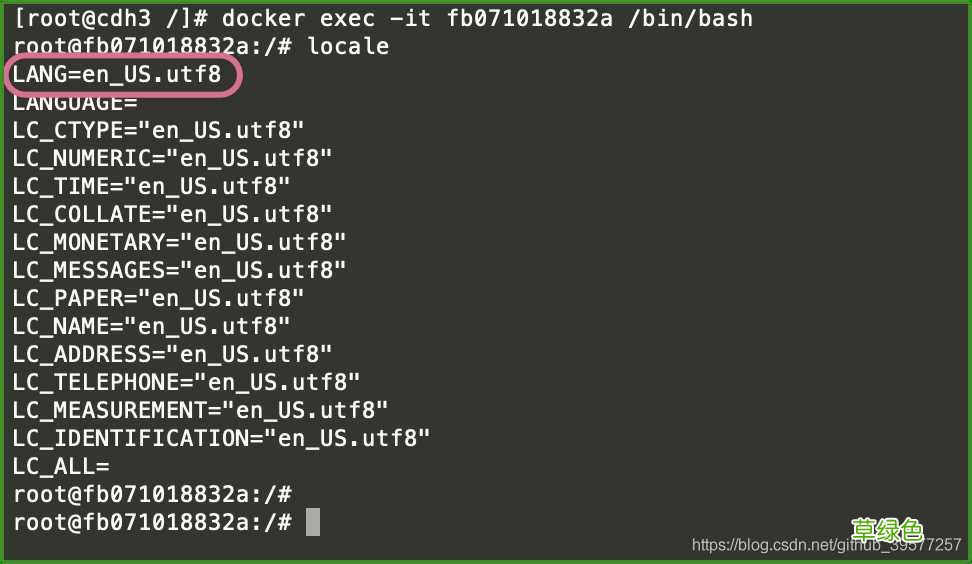 包含utf8 WindowsMac系统Docker方式安装Mysql