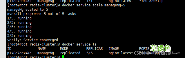 Docker swarm 简单使用教程