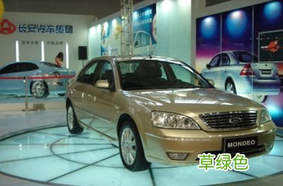 女性外生殖器