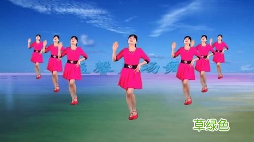 你牛什么牛广场舞歌曲 你牛什么牛广场舞