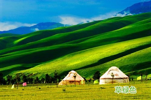 适合旅游的草原景点 哪个草原适合旅游