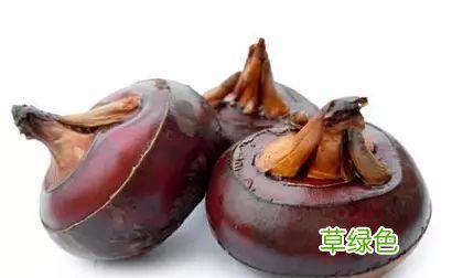 植物，那些你踩过的坑，那些你读错的字 杉怎么念