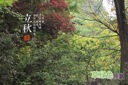 什么时间立秋比较凉快 什么时间立秋