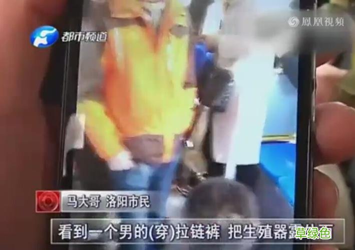 女孩的生殖器官