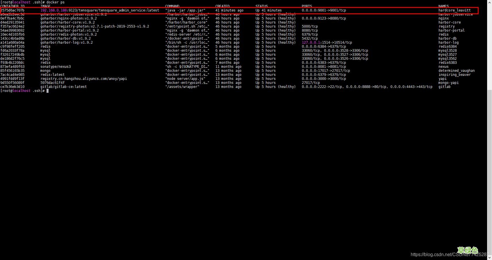 Jenkins打包微服务构建Docker镜像运行的实现