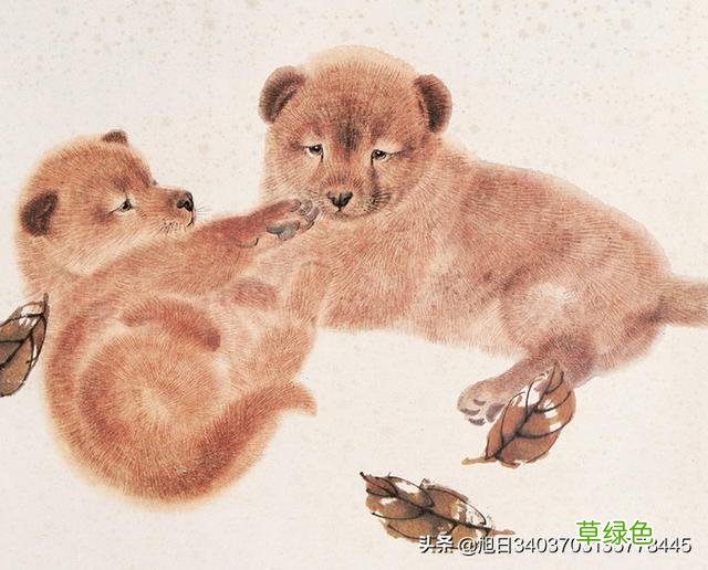生肖虎的贵人是哪些生肖? 本命年的你看看 属虎的和什么属相最配