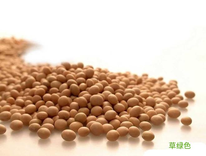 什么牌子的大豆异黄酮效果比较好 大豆异黄酮的作用