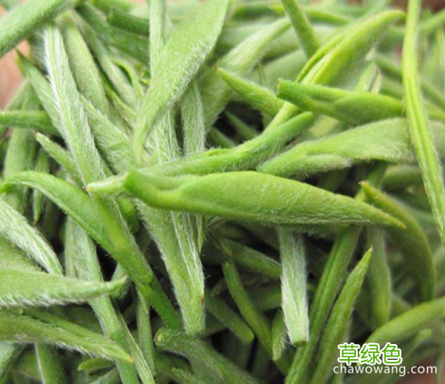 信阳毛尖的功效与作用 毛尖的功效与作用