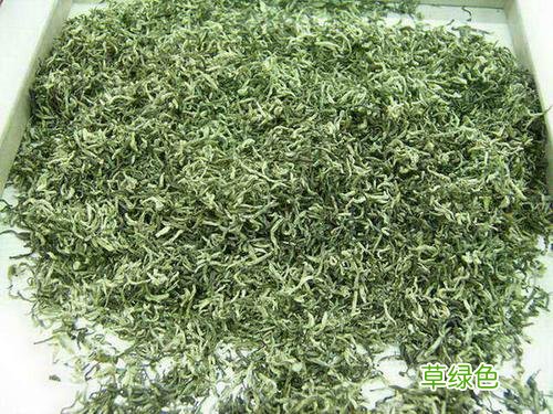 信阳毛尖的功效与作用 毛尖的功效与作用
