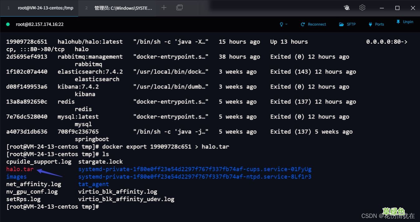 导出与导入Docker的容器实现示例
