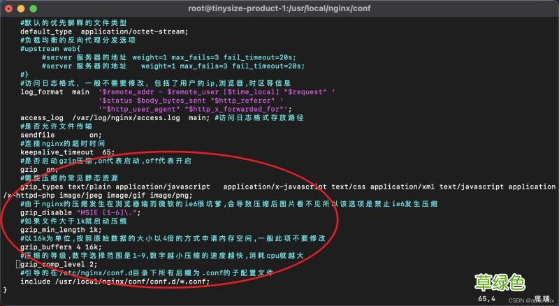 nginx开启gzip压缩的完整步骤记录