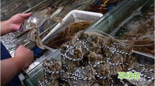 螃蟹如何保鲜 螃蟹的保鲜办法
