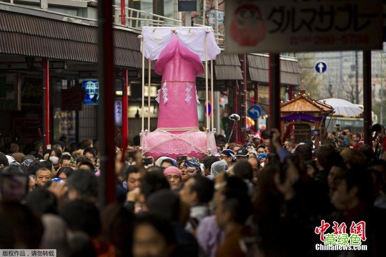 男人的生殖器图片