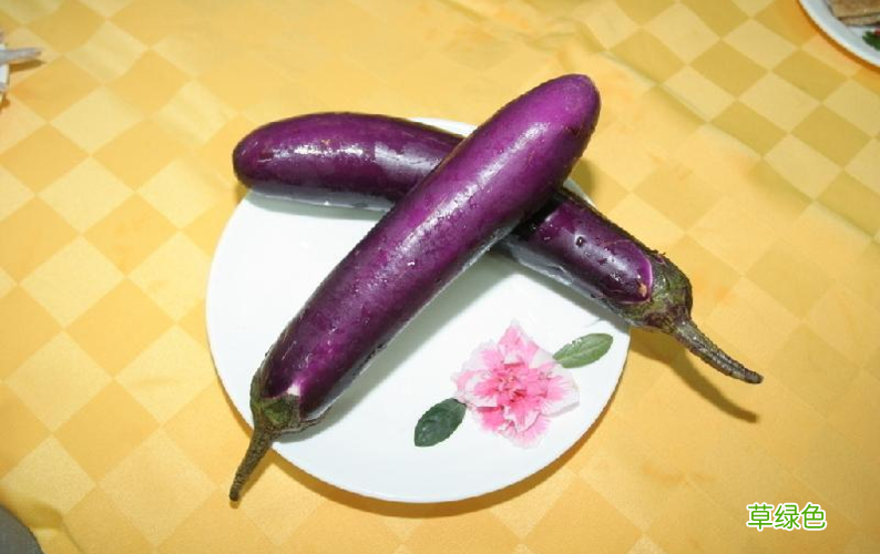 生吃紫茄子能减肥吗 生吃茄子能减肥吗