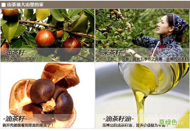 茶油的作用与功效价格 茶油的作用与功效